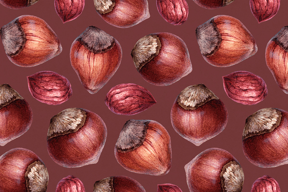 nut ILLUSTRATION  pattern design Drawing  hand drawn seamless watercolor surface texture