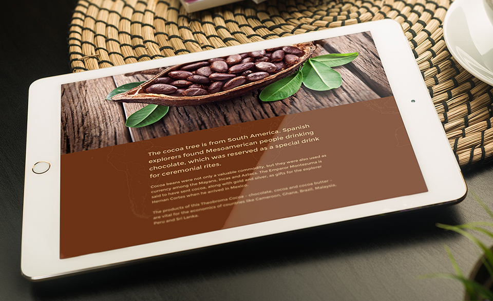 Cocoa green brown yellow africa organic modern Plain welten unternehmensfaszination corporate design Webdesign Responsive handmade
