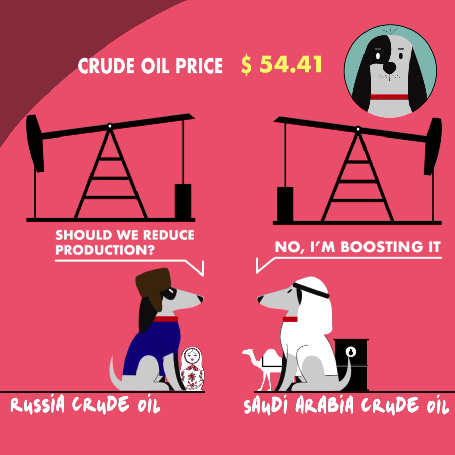 animation  Dog animation dog illustration infographics