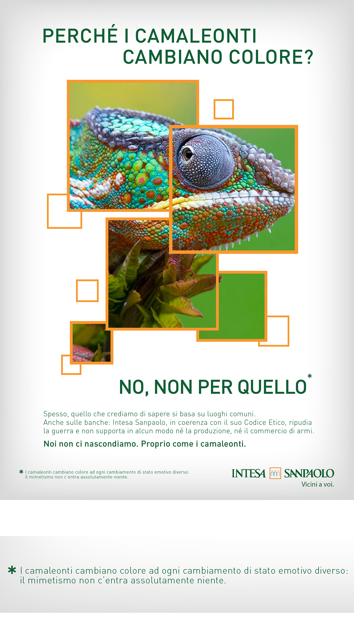 Bank Italy intesa sanpaolo animals Facts graphic design cammelli diritti cenerentola