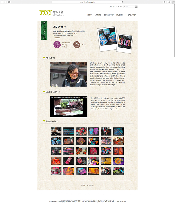 visual design ux UI Website Design website development