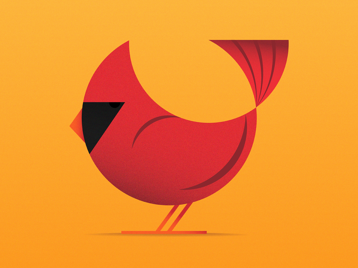 bird cardinal circle geometric ILLUSTRATION  vector