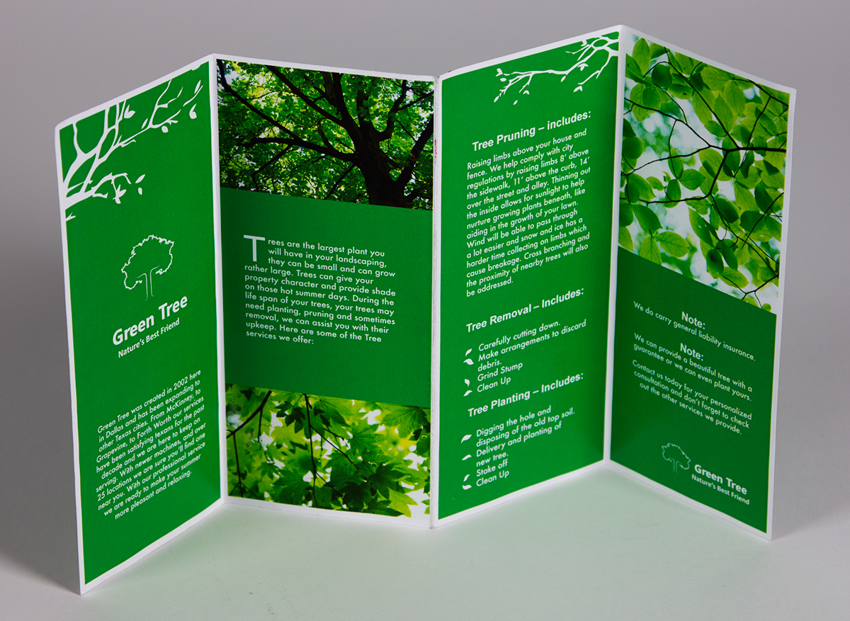business brochure Tree 
