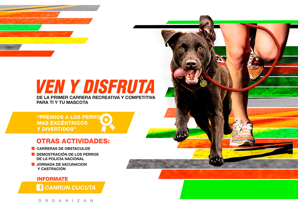 diseño run Evento perros color grafico dog maraton publicidad cucuta colombia Brandin brand indetidad corporaiva