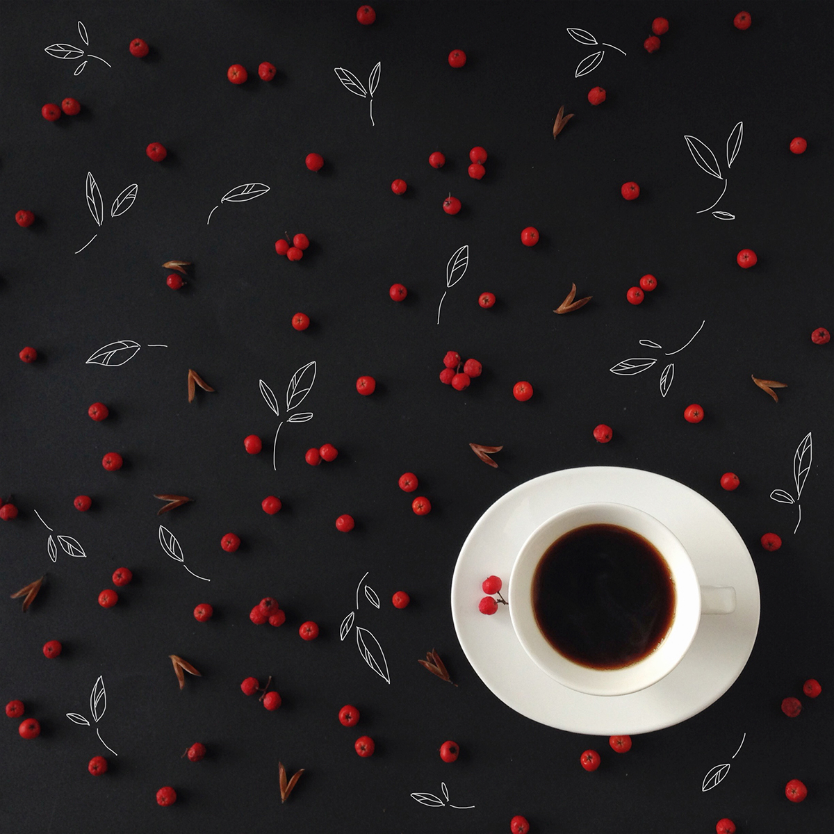 photo art Style design Culinary Flowers macarons Coffee Christmas sweet heart