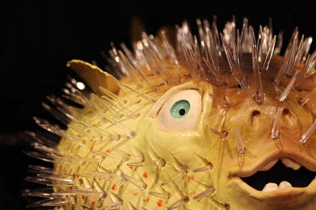 ceramics  ceramic art ceramic sculpture sculpture sea creatures fish led lights Installation Art art fine art