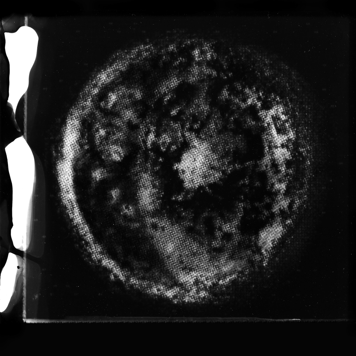 bjork biophilia cosmogony Crystalline Photogram structures photographic layers microscopic BIO ART