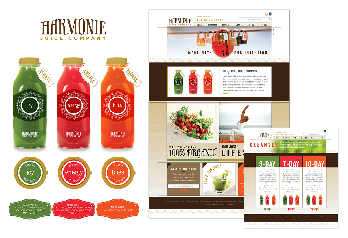 Juice company Website Design Logo Design conceptual