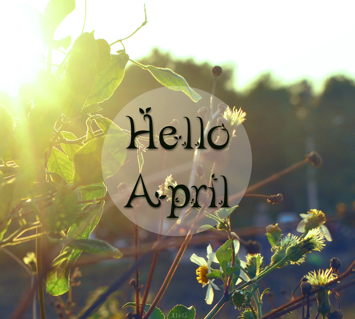 april be good sunshine Sunny Nature macro Quotes hello awesome