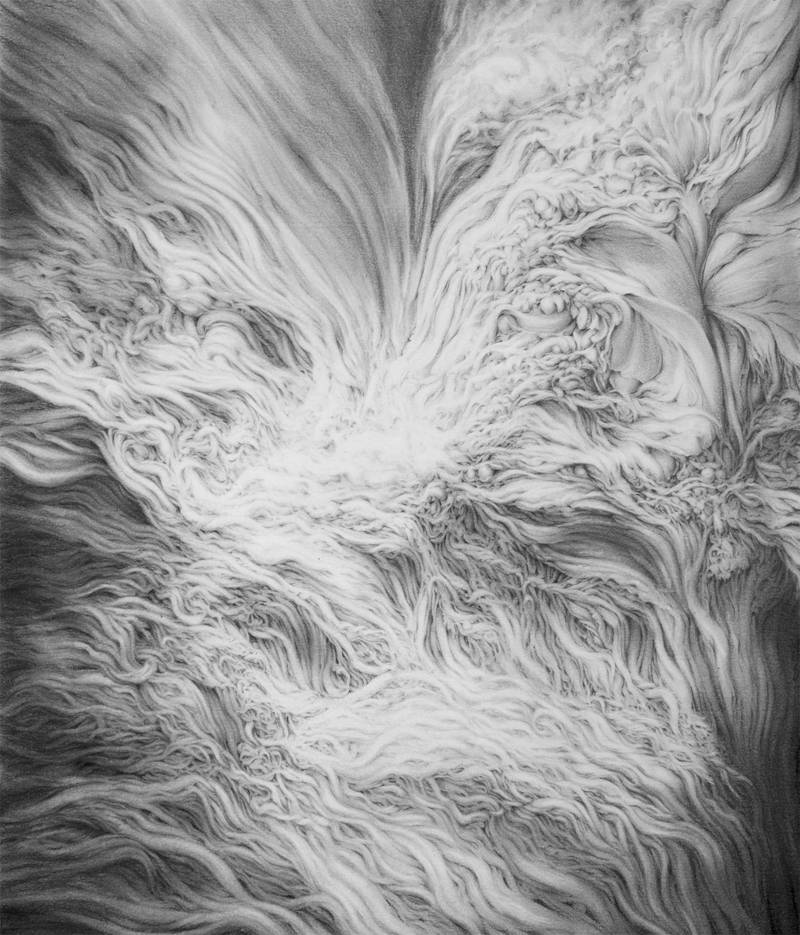 pencil black and white abstract organic Nature art