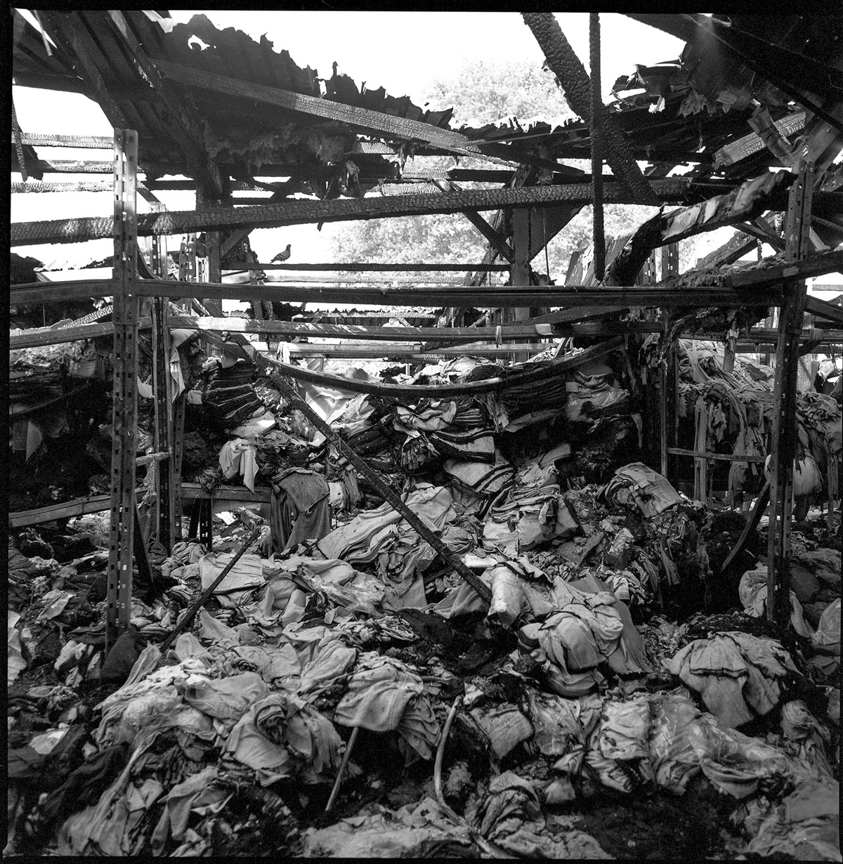 burn fire warehouse black White Hasselblad analog burned abandonned exploration down trash dark instruments
