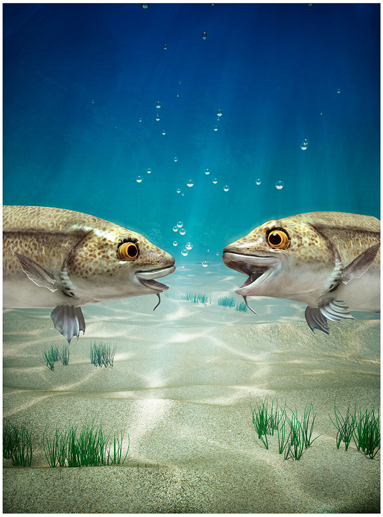 CGI creatures crab fish underwater