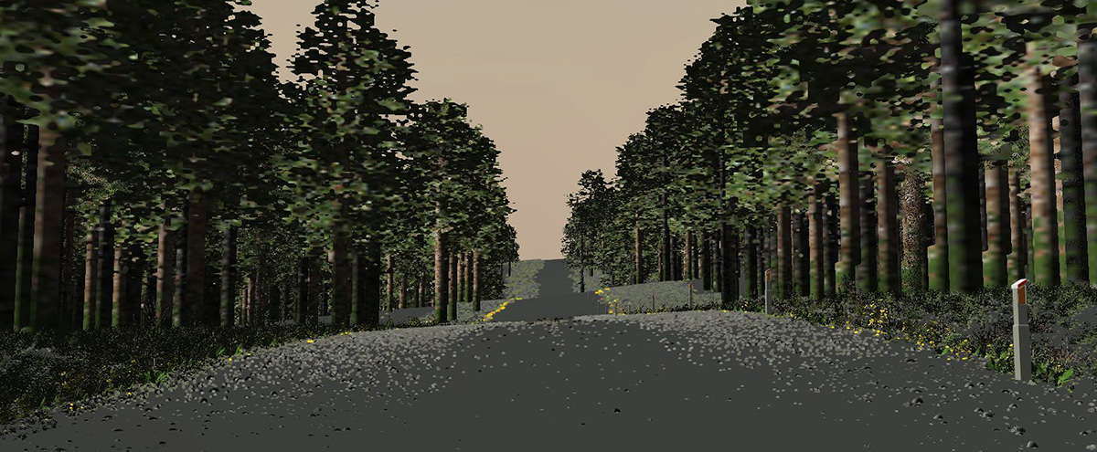 road forest vue trees environment volume light godrays Flowers