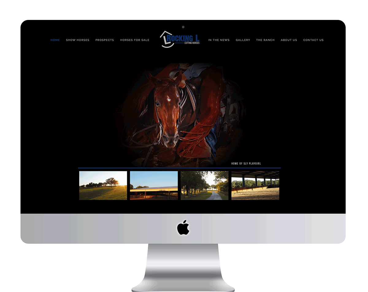 Website Design Equine Graphic Design horses cutting horses graphics equine photography
