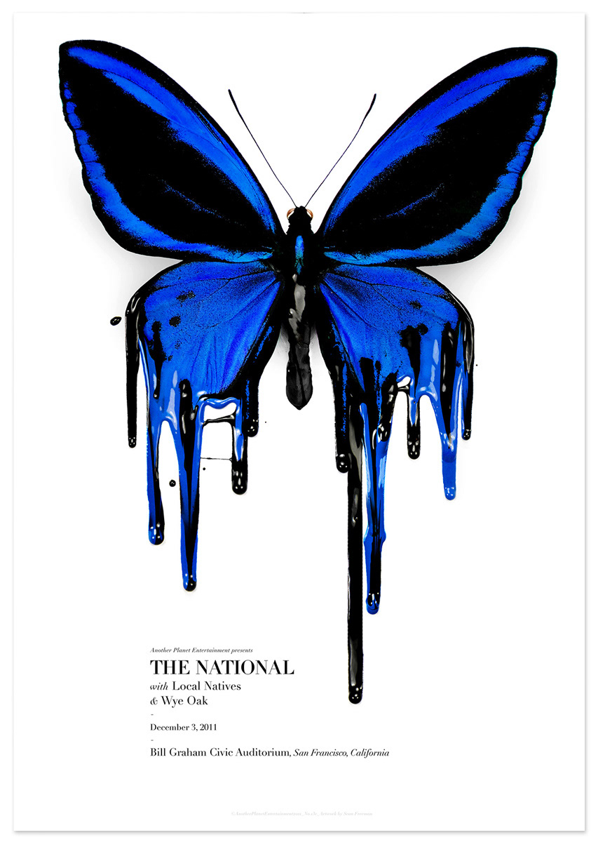paint music poster photorealism mix-media butterfly