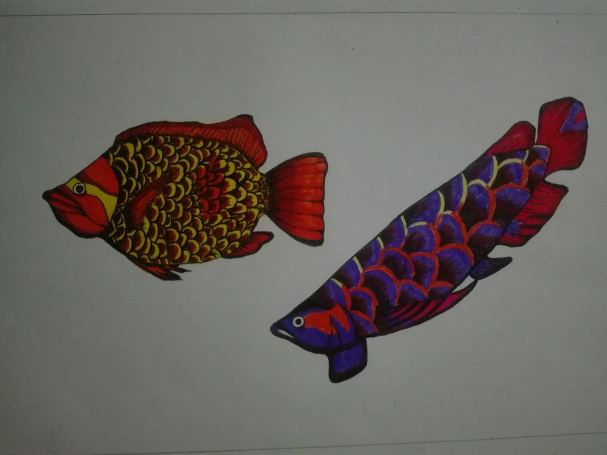 Image may contain: drawing, art and fish