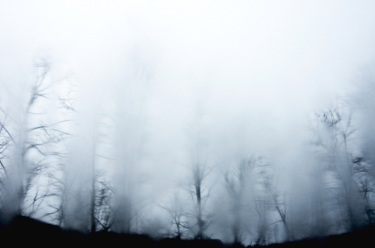 trees fog experimental Poetry  winter black and white  grey  melancholy