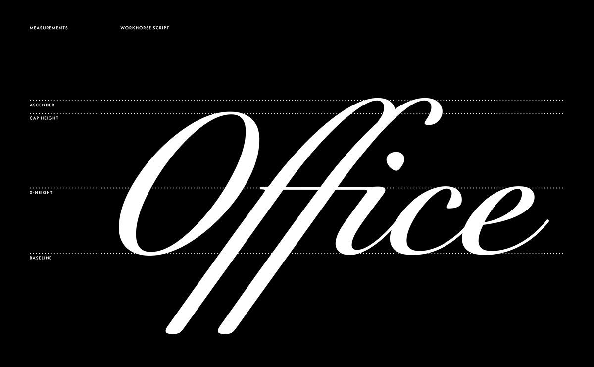calligraphic Calligraphy   font Script type type design Typeface typeface design typography   typography design