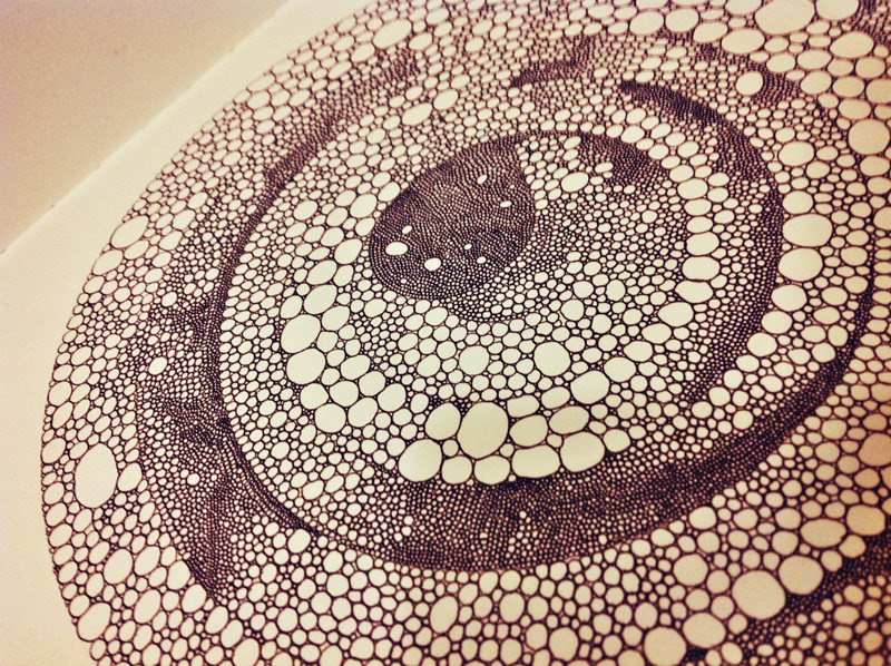 pen geometry circular detailed geometric ink doodle fine