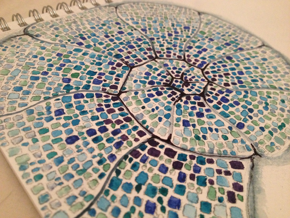ammonite blue colour watercolour sketchbook Experimenting Fossil geology mosaic tile pattern paint art design shell