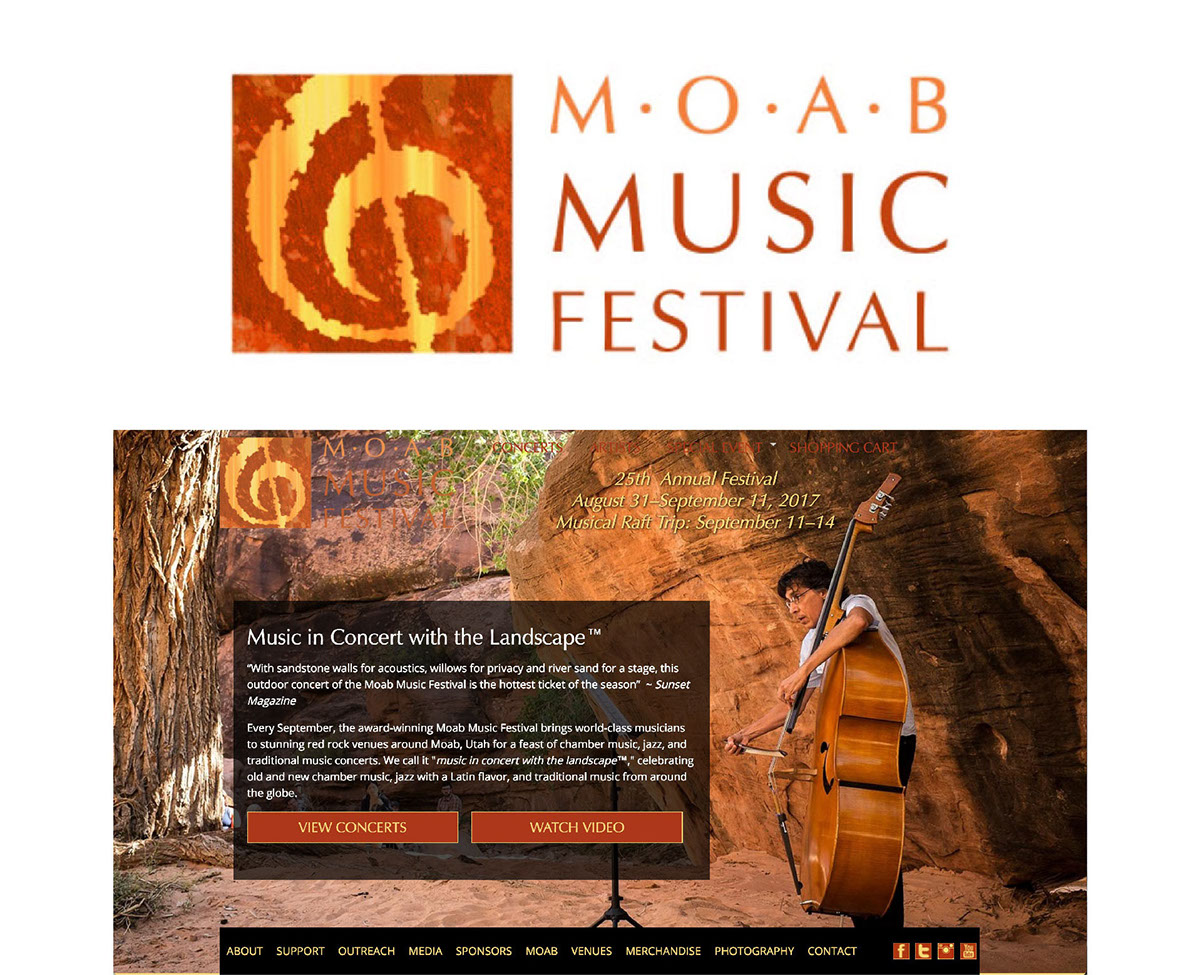 Music Festival classical music redesign graphic desing branding  festival redesign