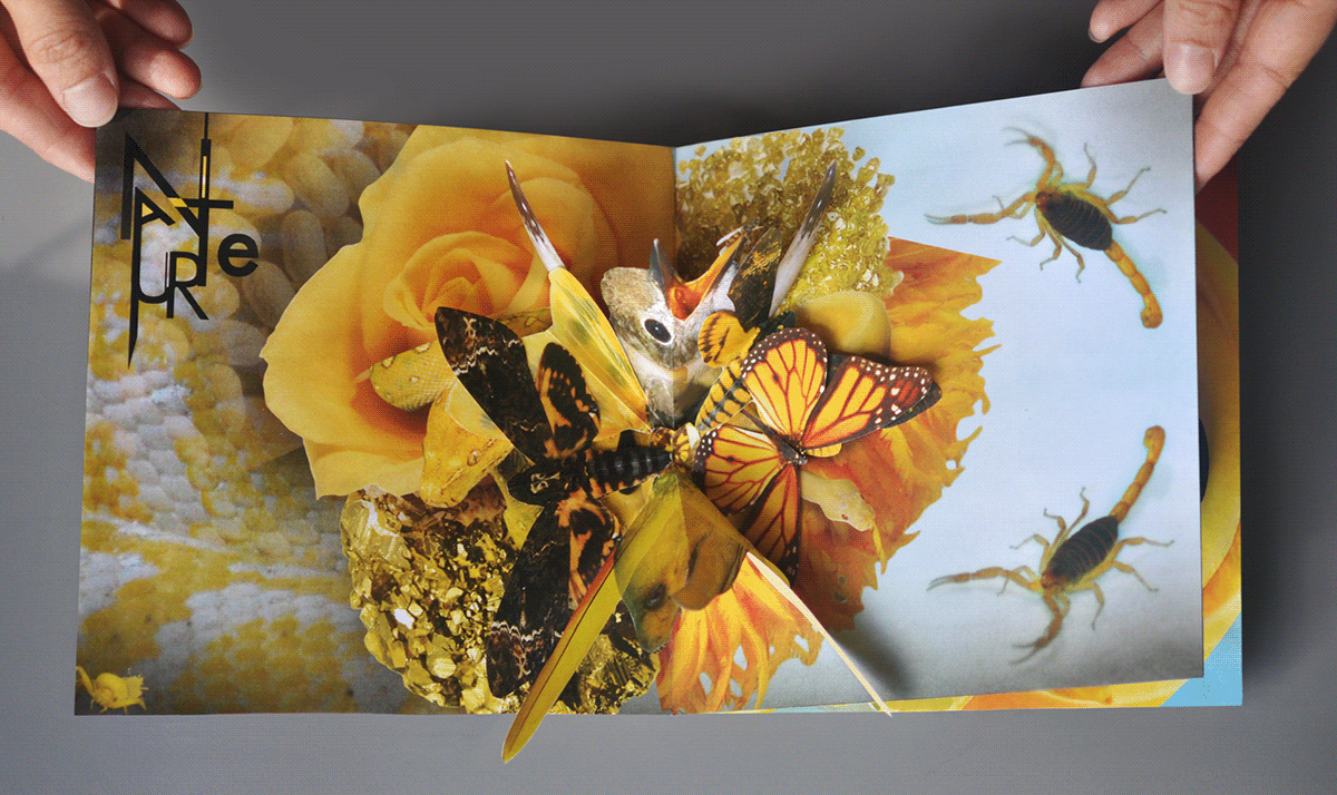 yellow  dark glamour  glamour  POP-UP  book  paper craft toxic yellow