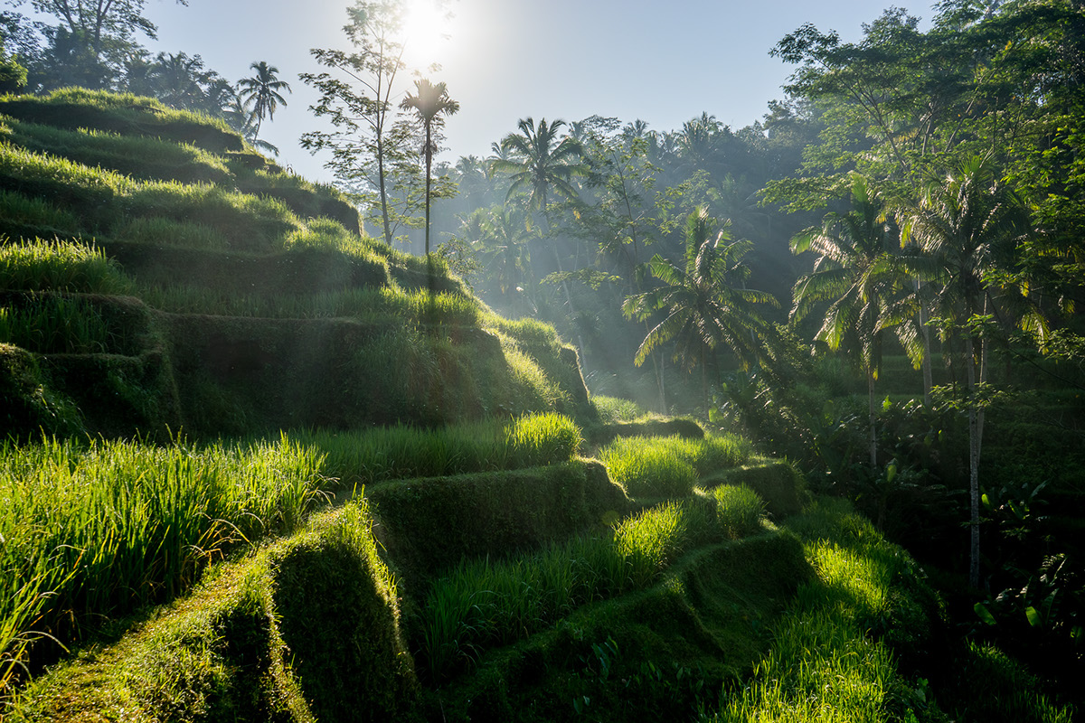 Landscape adventure exploring hiking Nature mountains volcanos asia indonesia java myanmar local culture