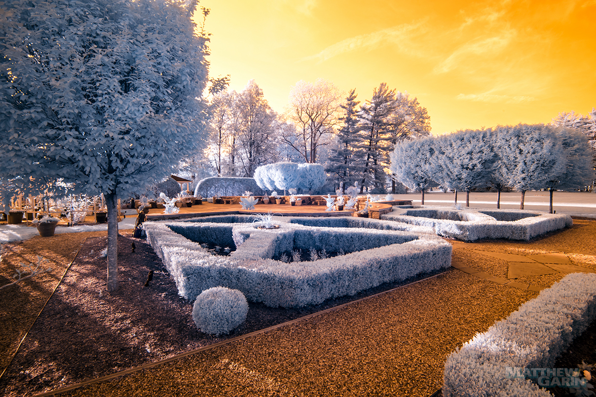 infrared photography infrared Michigan Botanical garden