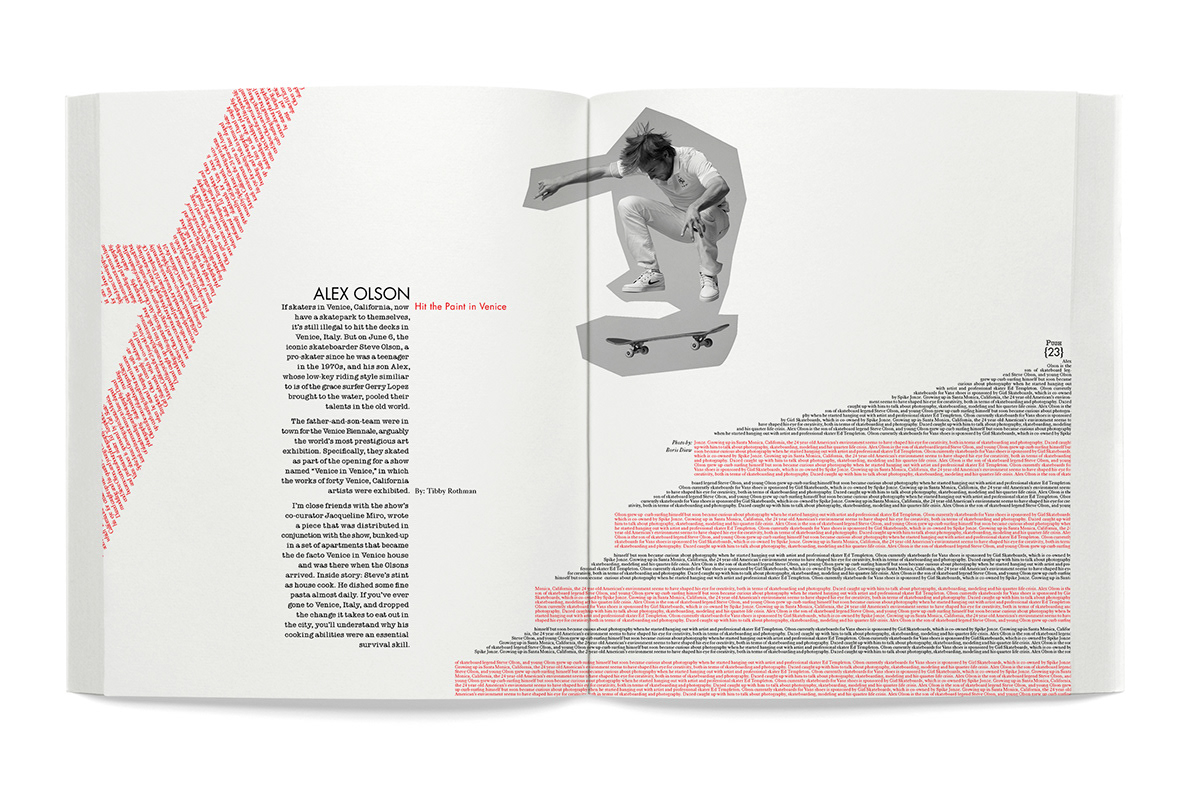 skateboard publication Layout