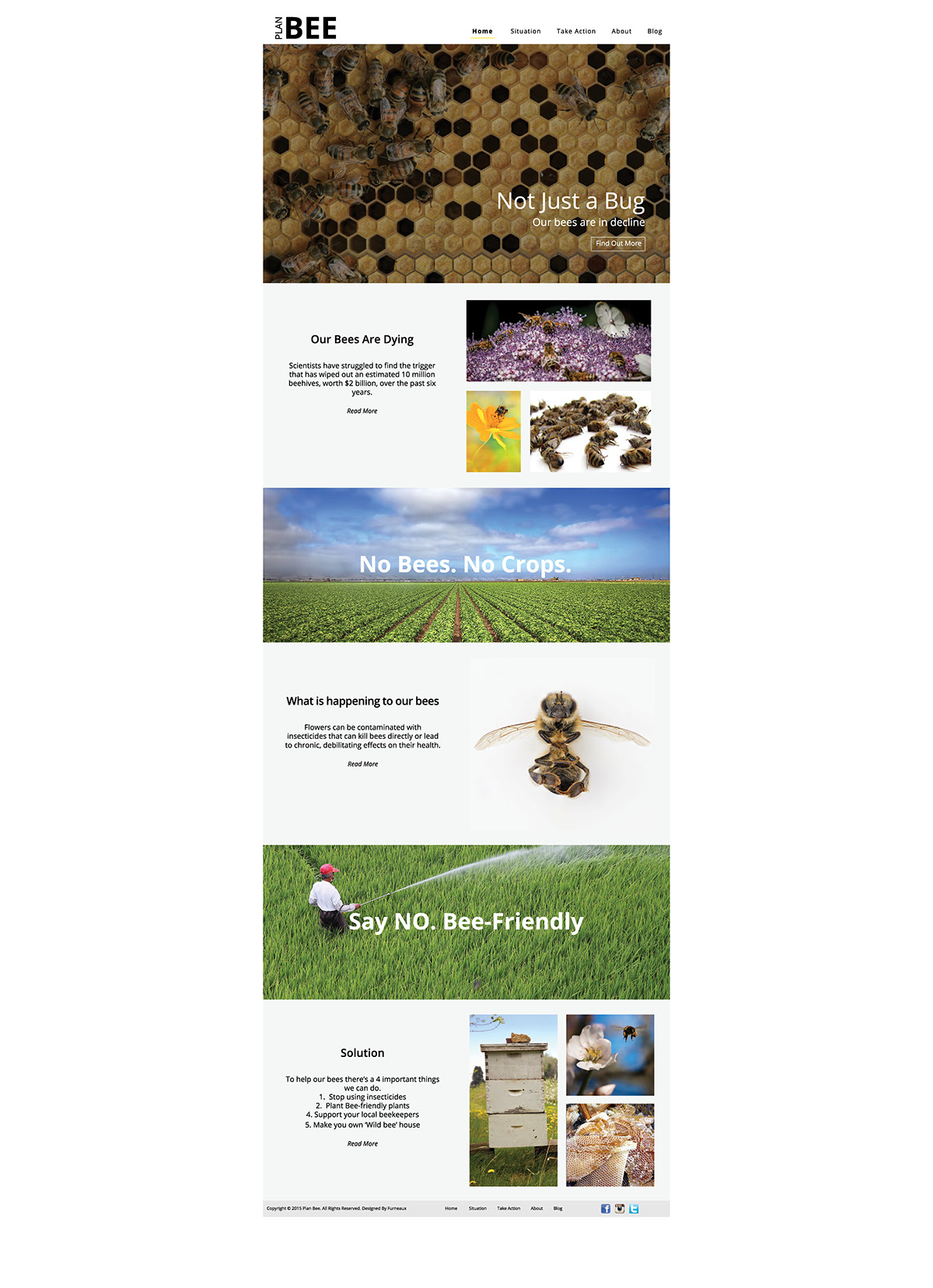 eco design eco friendly bee publication Website eco save the bees plan bee