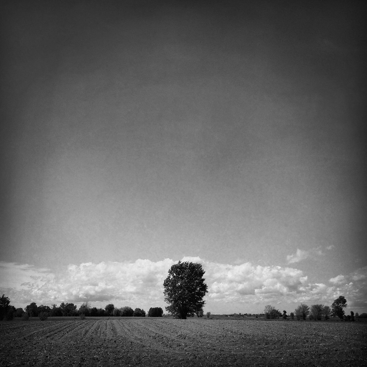 black and white black & white iphone iPhoneography hipstamatic photo Landscape bianco e nero lomo instagram