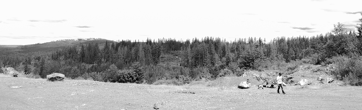 Washington state Landscape black and white bw rural monroe