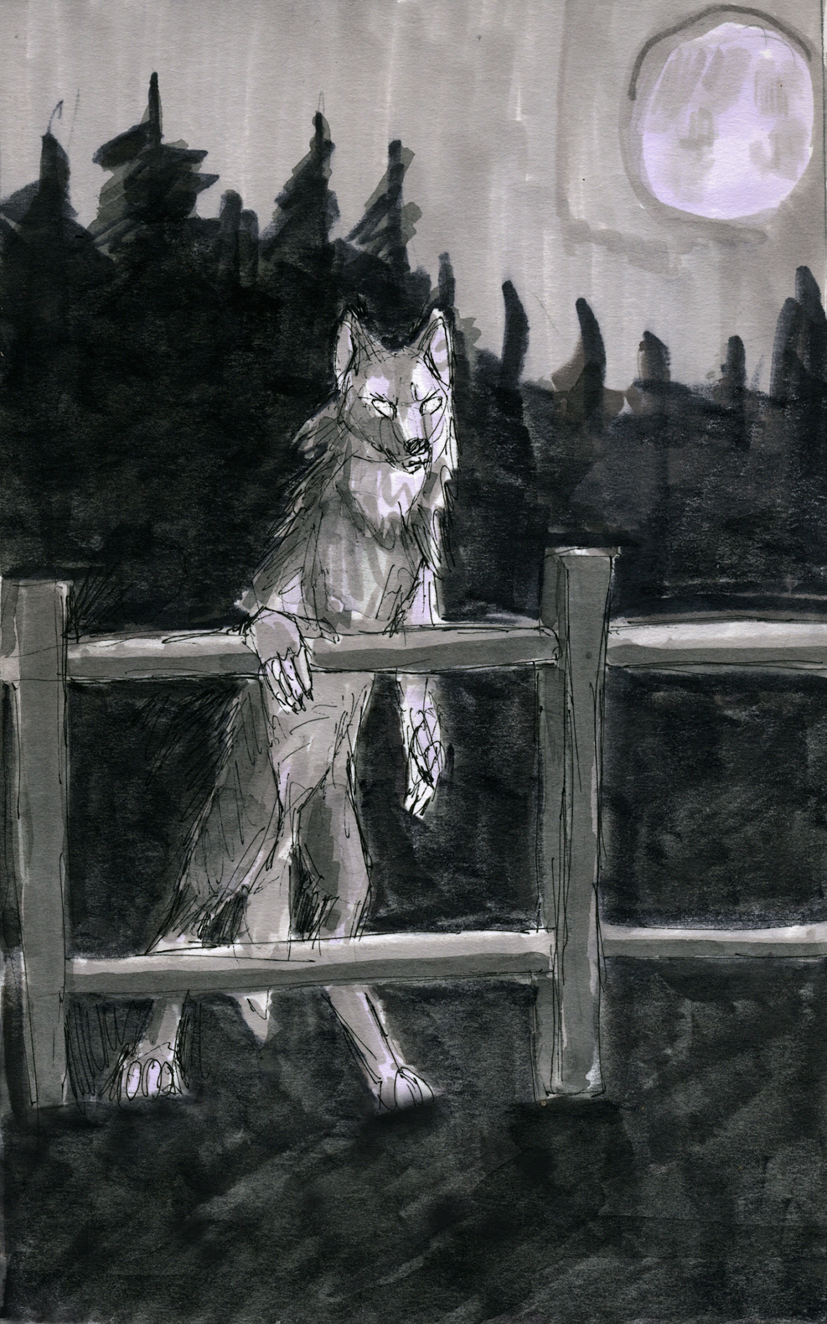 ILLUSTRATION  book art narrative illustration Werewolf wolf wolves fantasy