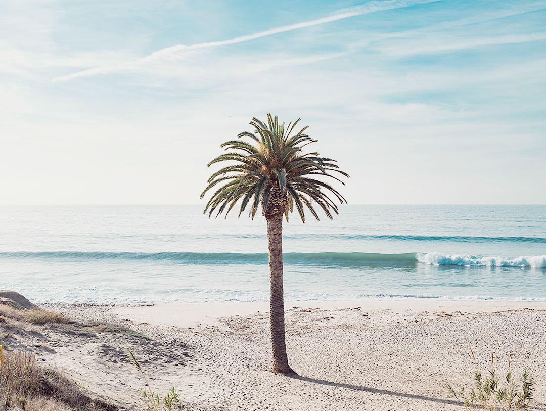 Topanga Surf wave palm beach la Ocean surfing Los Angeles California