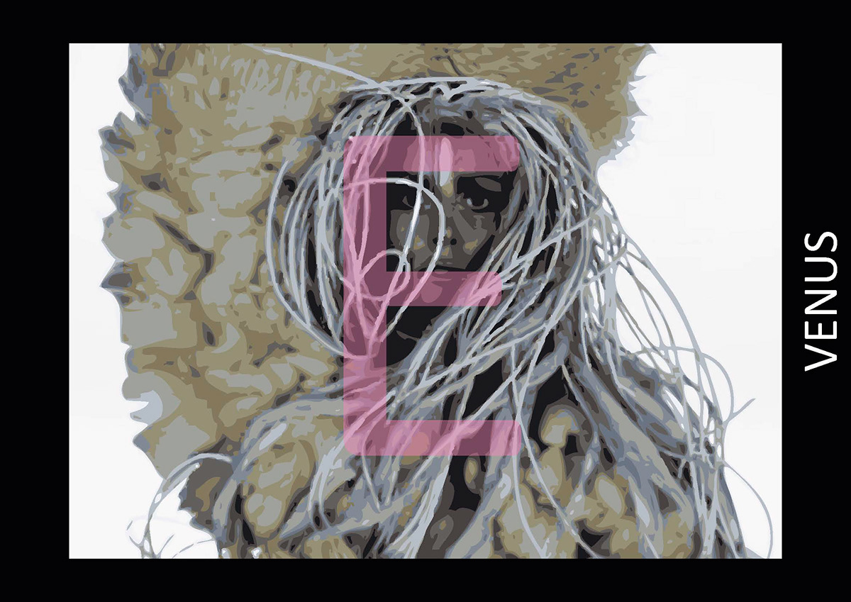 Lady Gaga artpop INEZ & VINOODH art design popart