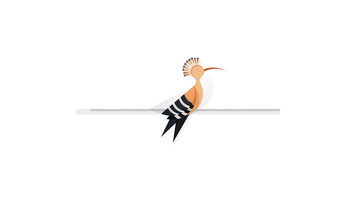 adobe birds graphic design  ILLUSTRATION  Illustrator