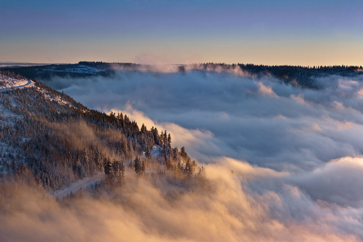 Photography  fotografie germany Schwarzwald black forest winter