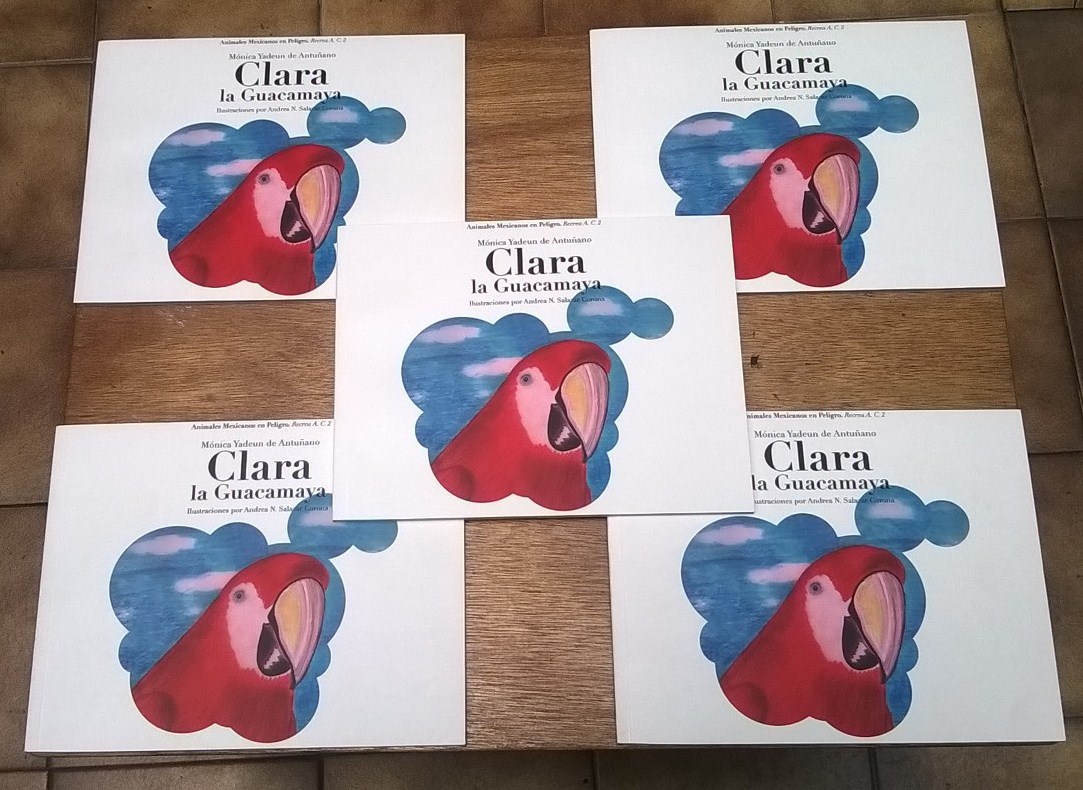 guacamayas macaws clara children's book ilustración infantil mexico recrea educacion ambiental book abi