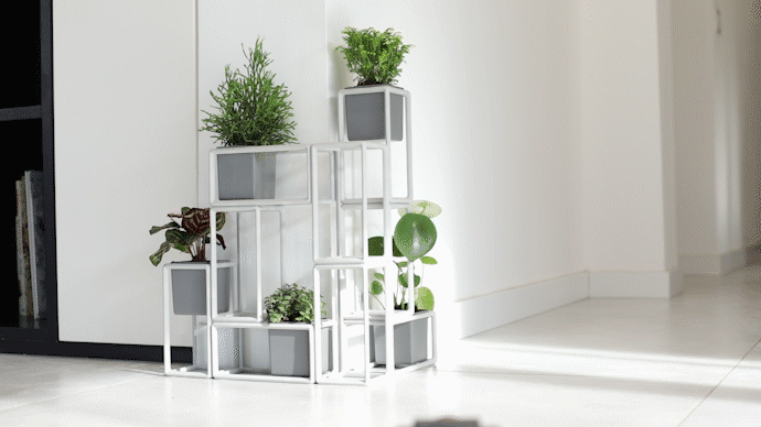 architecture indoor industrial design  interior design  Nature Planter planter design plants square