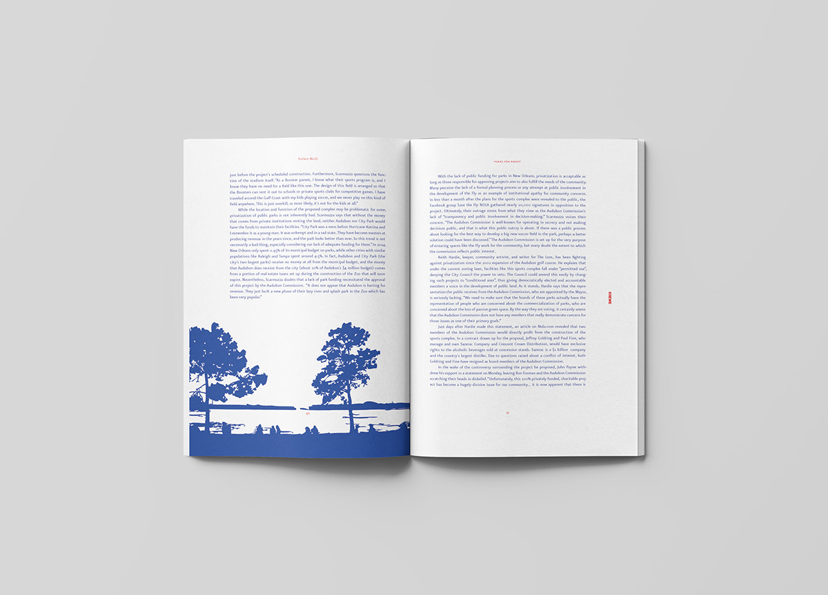 ILLUSTRATION  Layout Magazine design Patterns publication design red and blue risograph Two Color Printing