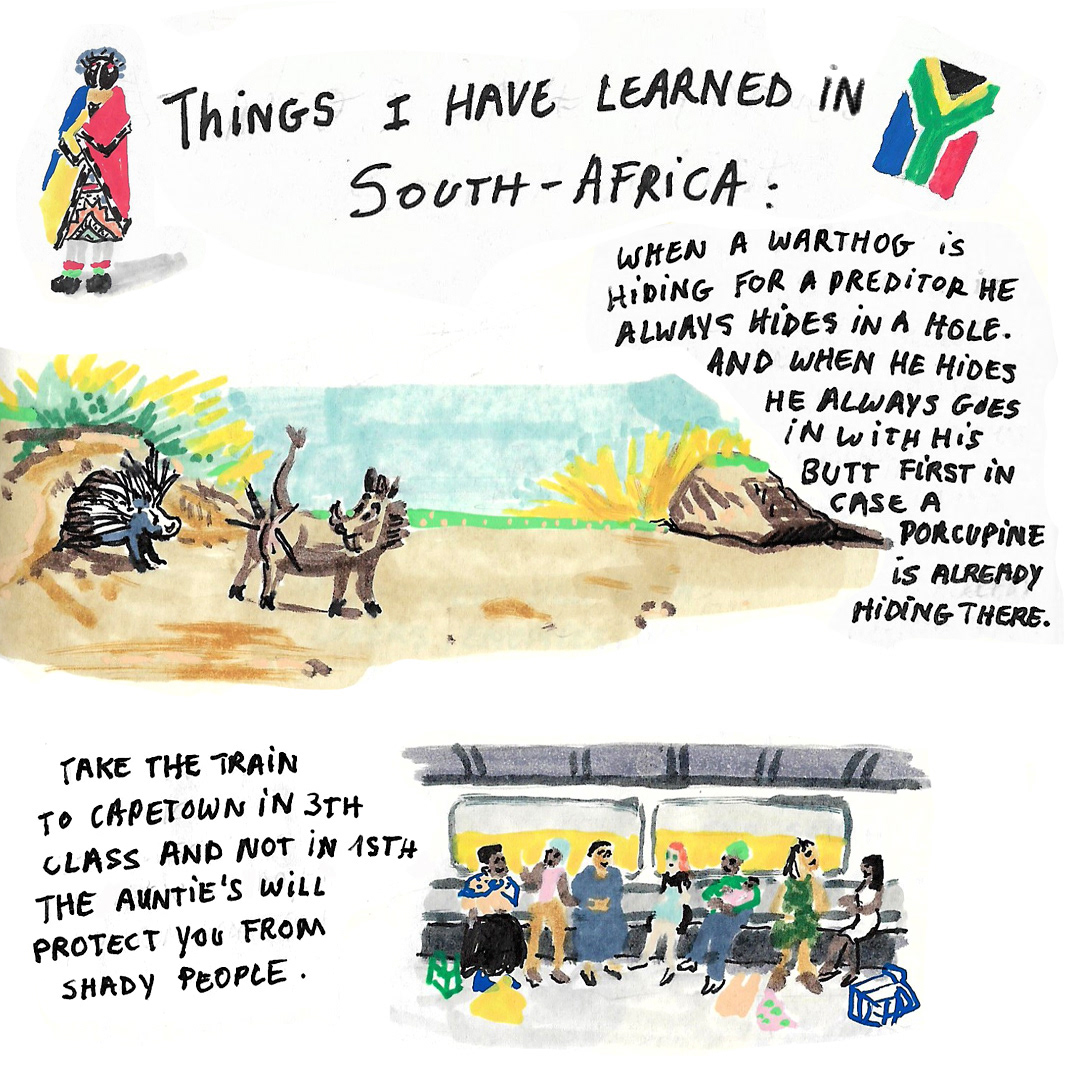 south-africa Drawing  ILLUSTRATION  traveljournal sketchbook africa storytelling   comic colourfull Travel