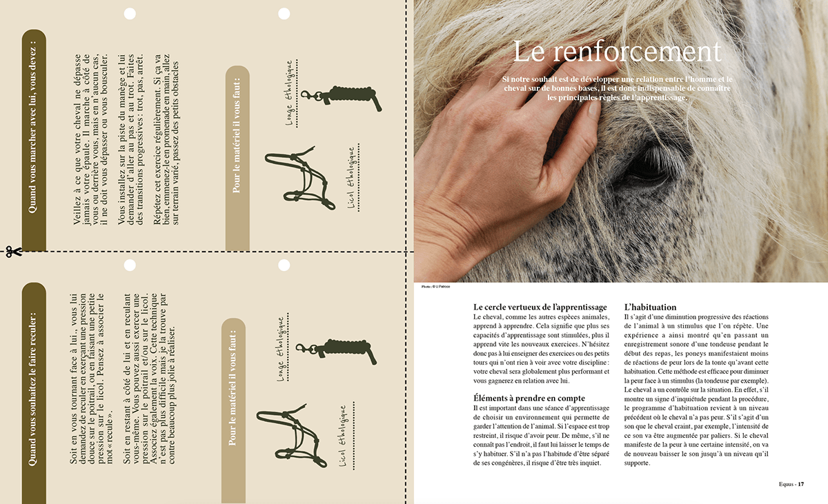 press print editorial magazine editorial design  InDesign Magazine design design Graphic Designer