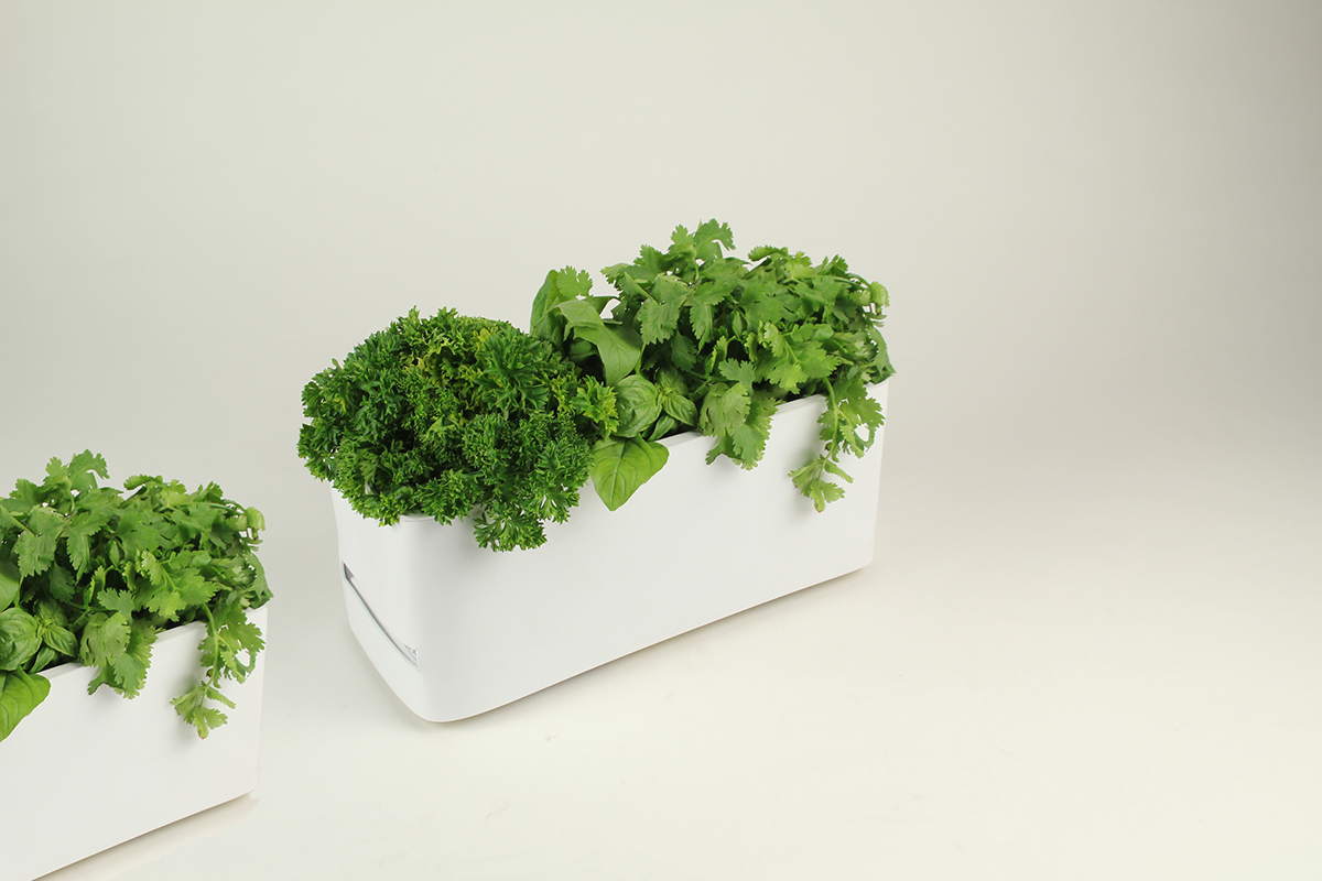 green solar panel led interactive home goods environmentally friendly herb garden