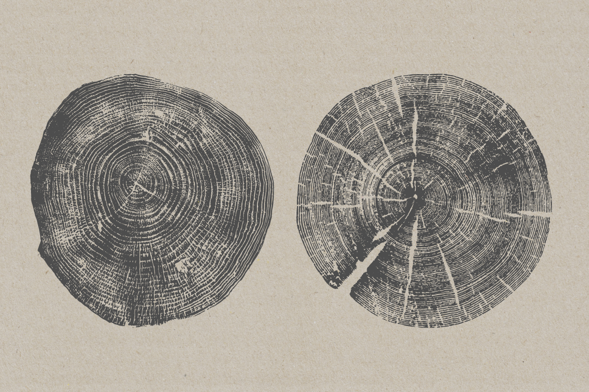 organic Nature Tree  rings wood art relief print branch grain Cracks craft circle pattern earth