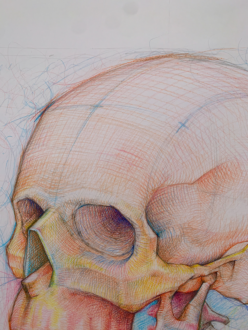 hand Drawing  Dibujo a mano Craneo skull