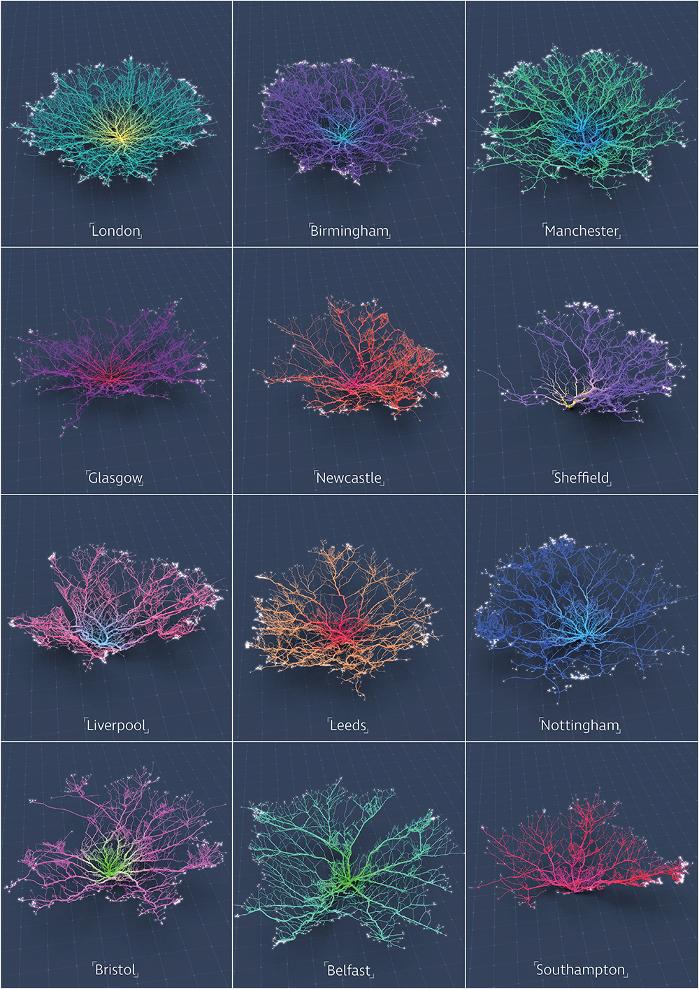 Data animation  dataviz maps Cities coral design visualisation conceptual Analysis