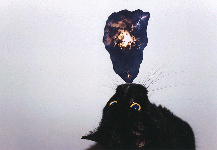 photo Cat deform possession collage layers ash smoke thunder Fur theeth
