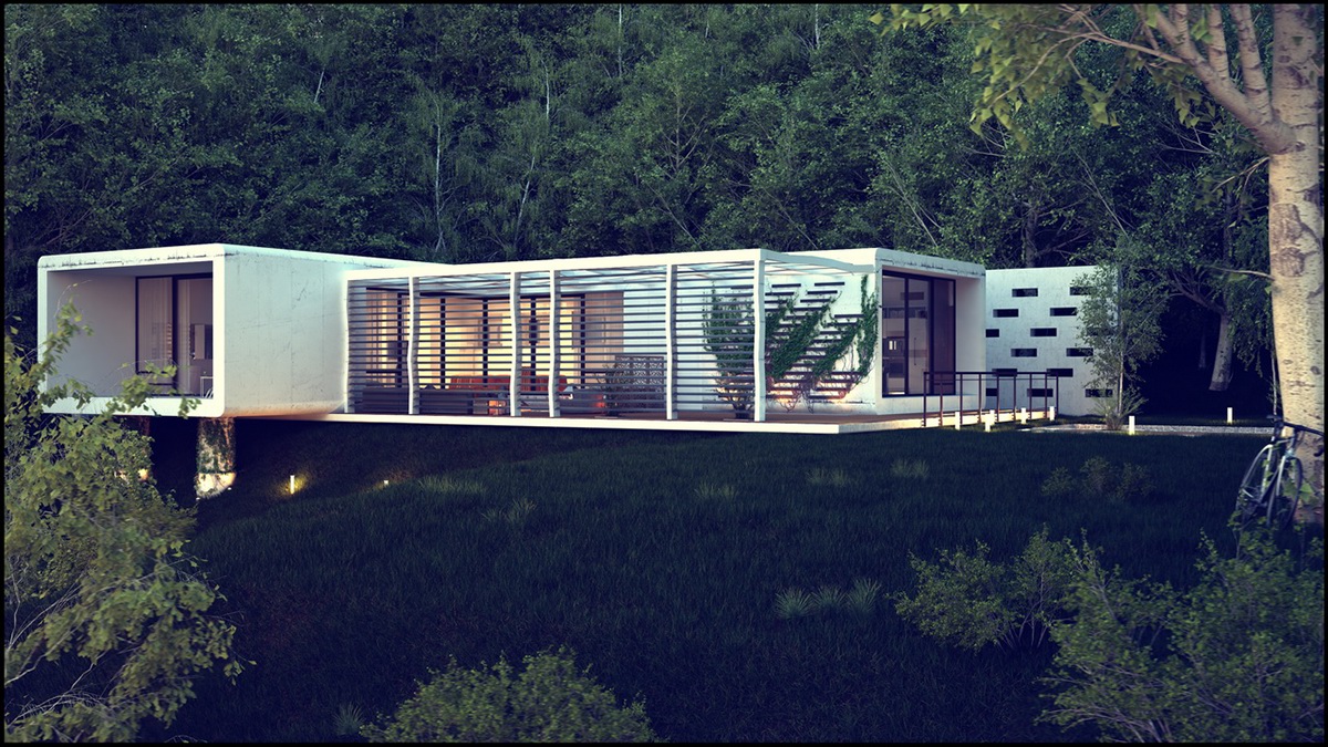 house  Exterior vizualization