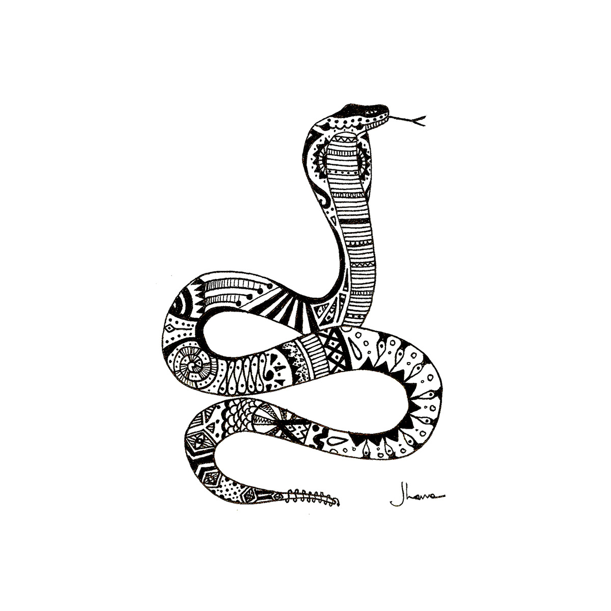 animalia animal handrawing Black&white doodle