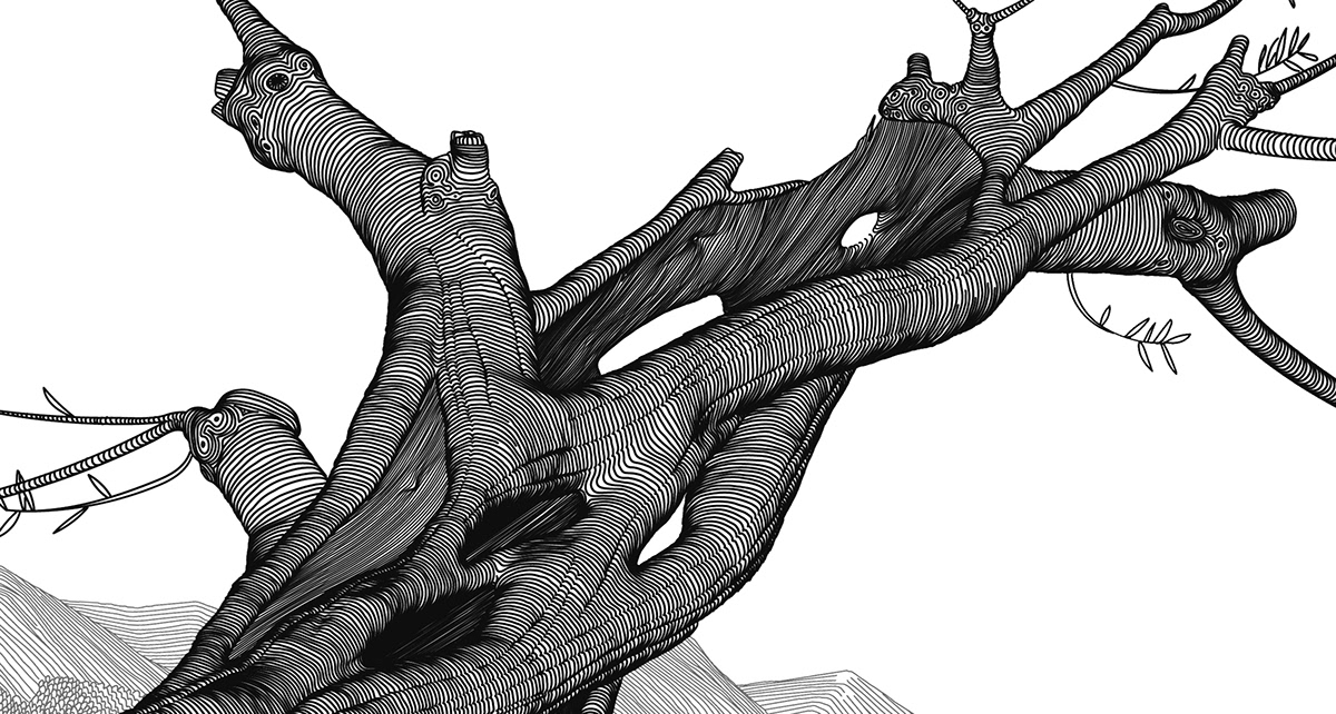 etching engraving Vector Illustration line art wacom graphic art Tree  botanical illustration Landscape book illustration